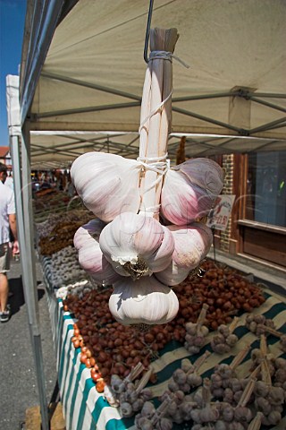 Garlic grappe on sale at the French Market  WaltononThames Surrey England