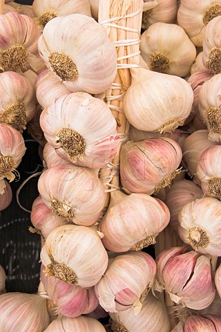 Garlic grappes on sale at the French Market  WaltononThames Surrey England