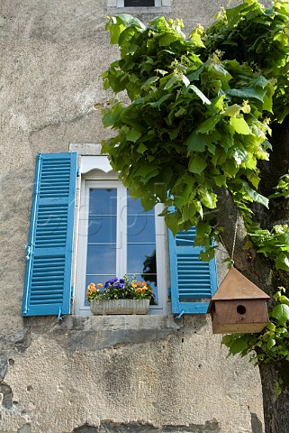 Blue shuttered window with tree and bird box   Bouilland Cte dOr France