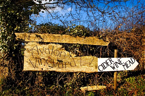 Sign for Avalon Vineyard near Glastonbury   Somerset England