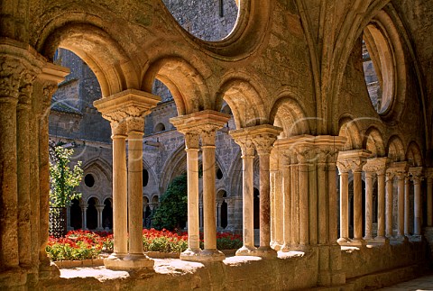 Cloisters of Abbaye SainteMarie de  Fontfroide Aude France