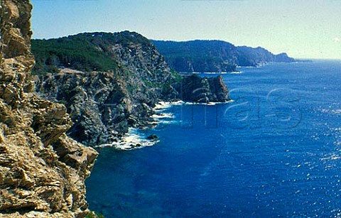 Southern cliffs of Ile de Porquerolles   Isles dHyres Var France