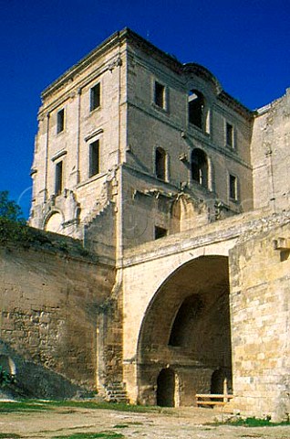 Ruins of Abbaye de Montmajour   BouchesduRhne France