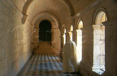 Cloister at StMicheldeFrigolet Abbey   TarasconsurRhne BouchesduRhne   France