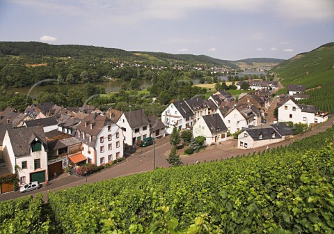 View over Graach and the Mosel valley with Weingut   KeesKieren in the foreground Germany  Mosel