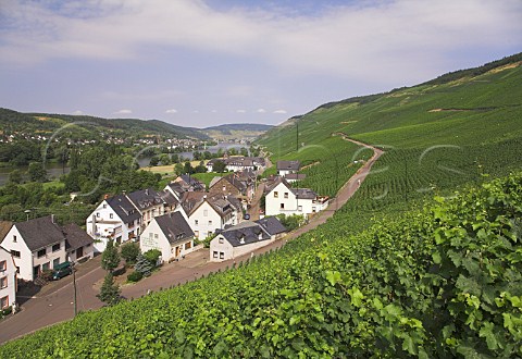 View over Graach and the Mosel valley with Weingut   KeesKieren in the foreground Germany  Mosel