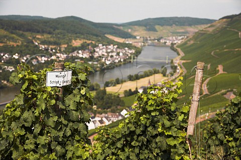 Sign for vineyard of Weingut Schloss Lieser above Graach and the Mosel River   Germany  Mosel