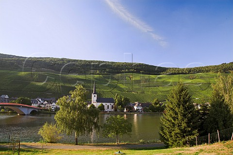 St Michaels Church and Mosel River below the   Falkenberg and Gnterslay vineyards Piesport   Germany     Mosel