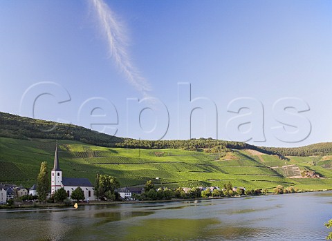 St Michaels Church and Mosel River below the Falkenberg Gnterslay and Kreuzwingert vineyards Piesport Germany     Mosel