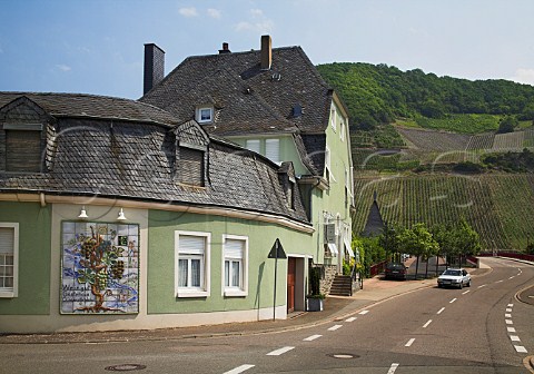 Weingut ClsserathWeiler with Altrchen vineyard   beyond Trittenheim Germany  Mosel