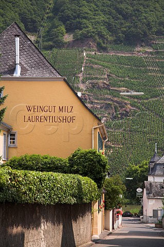 Weingut Milz Lautentiushof with the steep Apoteke   vineyard beyond Trittenheim Germany  Mosel