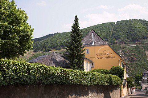 Weingut Milz Lautentiushof with the steep Apoteke   vineyard beyond Trittenheim Germany  Mosel