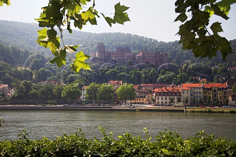 Heidelberg castle overlooking the old town and   Neckar River BadenWrttemberg Germany