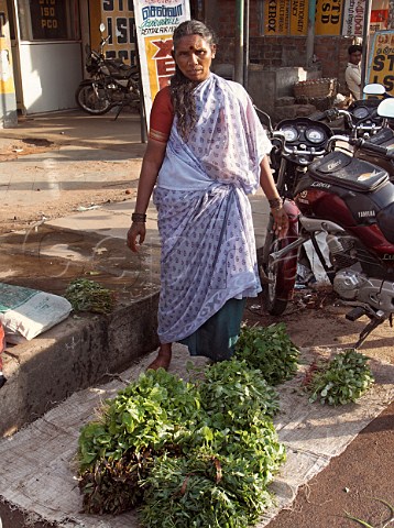 Indian woman selling herbs by roadside Chennai   Madras India