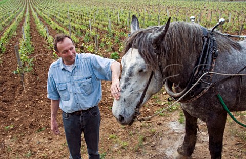 Bruno Clair in the Premier Cru Clos StJacques   vineyard with his plough horse Lina   GevreyChambertin Cte dOr France  Cte de Nuits
