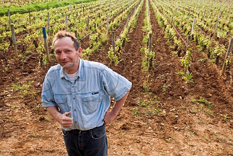 Bruno Clair in his Premier Cru Clos StJacques   vineyard GevreyChambertin  Cte dOr France