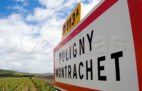 Road sign on D113 at entrance to the village of   PulignyMontrachet Cte dOr France  Cte de   Beaune