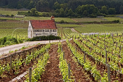 Hut of Domaine Pierre Damoy in ChambertinClos de Bze vineyard GevreyChambertin Cte dOr France    Cte de Nuits Grand Cru