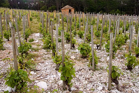 Stone hut Cabotte above Les Larrets vineyard    MoreyStDenis Cte dOr France  Cte de Nuits