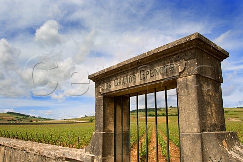 Gateway of Domaine Franois Gaunoux in the wall of Premier Cru vineyard Les Grands Epenots Pommard   Cte dOr France Cte de Beaune