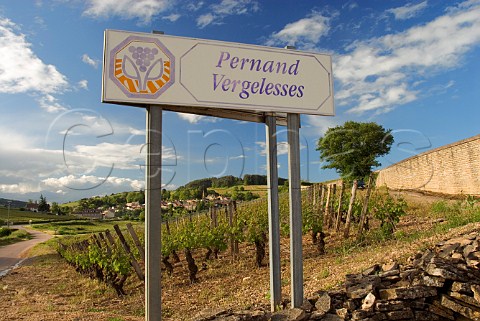 Sign by vineyard at entrance to village of   PernandVergelesses Cte dOr France  Cte de   Beaune