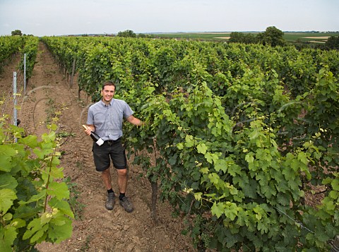 HansOliver Spanier of Weingut BattenfeldSpanier   among riesling vines in his Kirchenstck vineyard   HohenSlzen Germany   Rheinhessen