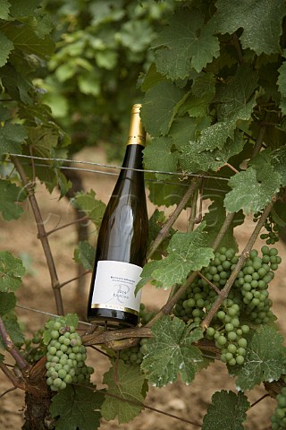 Bottle of Weingut BattenfeldSpanier 2004 Riesling wine in their Kirchenstck vineyard HohenSlzen Germany  Rheinhessen