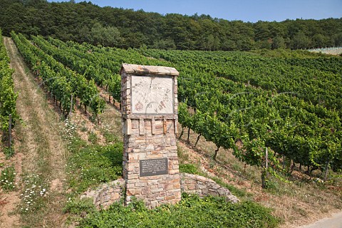 Sundial in Drachenstein vineyard Rdesheim   Germany   Rheingau