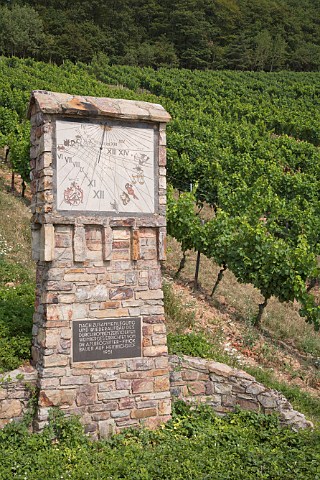 Sundial in Drachenstein vineyard Rdesheim   Germany   Rheingau