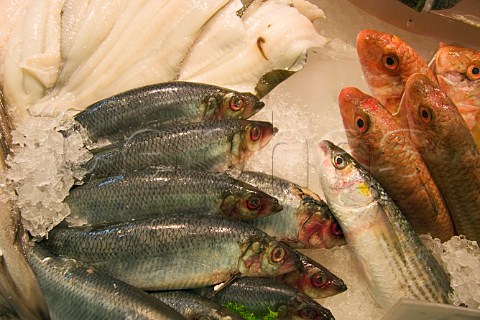 Display of fresh fish in Selfridges food hall Plaice Mackerel Golden Grey Mullet Red Mullet Herring
