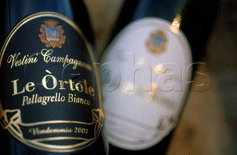 Bottle of Vestini Campagnano   Le Ortole Pallagrello Bianco wine   Campania Italy