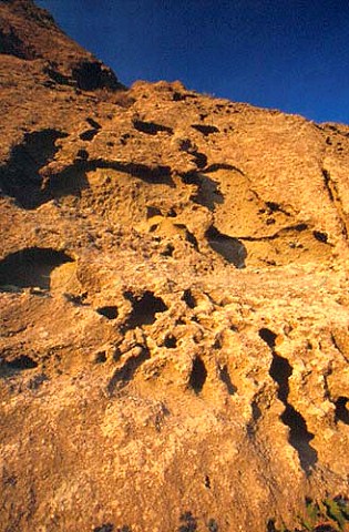 Soil in Frassitelli vineyard of   Casa DAmbra winery Panza Ischia   Campania Italy