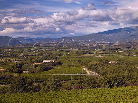 Vineyards at Valras Vaucluse France   Ctes du   RhneVillages