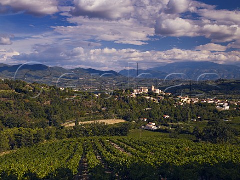 Vineyards around village of Vinsobres with Mont   Ventoux in distance Vaucluse France  Vinsobres    Ctes du RhneVillages