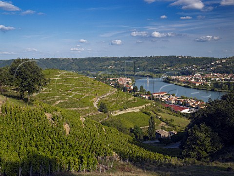 Viognier vineyards above Condrieu and the River   Rhne France   Condrieu