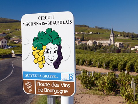 Road sign for the Route des Vins de Bourgogne at   Chnas France   MoulinVent  Beaujolais