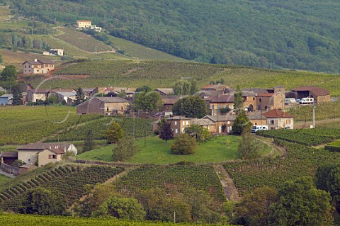Hamlet surrounded by vineyards near Leynes   SaneetLoire France StVran  Mconnais