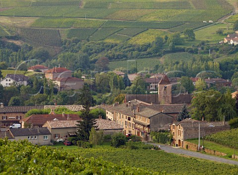 Village of Leynes surrounded by vineyards   SaneetLoire France StVran  Mconnais