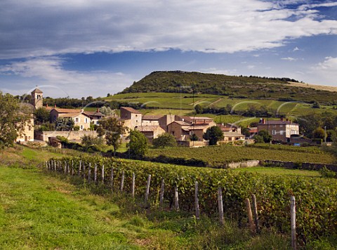 Vineyards around the village of Bussires   SaneetLoire France    MconVillages    Mconnais