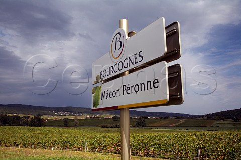 Road sign for wine village of Pronne by vineyard on the Route des Vins SaneetLoire France     MconVillages  Mconnais