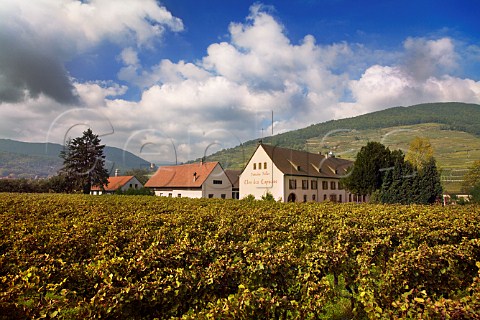 Domaine Weinbach Colette Faller et ses filles seen   over its Clos des Capucins vineyard Kaysersberg    HautRhin France  Alsace