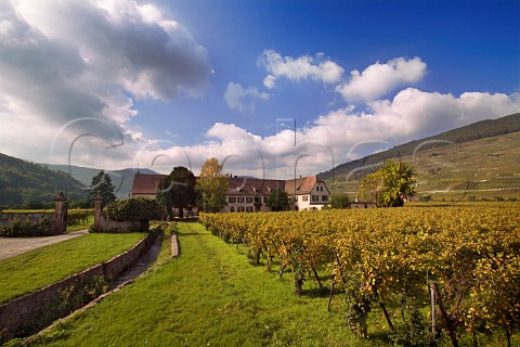 Domaine Weinbach Colette Faller et ses filles seen   over its Clos des Capucins vineyard Kaysersberg   HautRhin France  Alsace