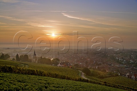 Sunrise over Barr from the Kirchberg de Barr vineyard BasRhin France  Alsace Grand Cru