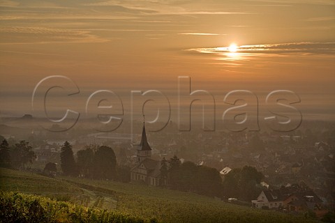 Sunrise over Barr from Kirchberg de Barr Grand Cru   vineyard BasRhin France  Alsace