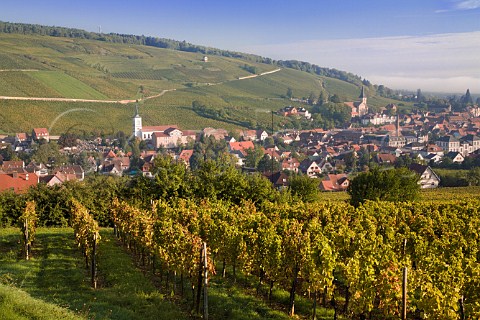 The wine town of Barr seen from  Zotzenberg Grand   Cru vineyard with the slope of Kirchberg de Barr   vineyard beyond BasRhin France  Alsace