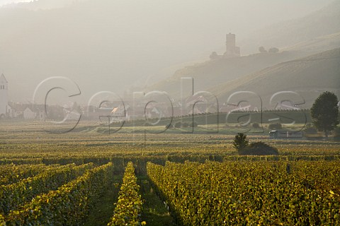Evening light on Wineck castle and Grand Cru   WineckSchlossberg vineyard overlooking Katzenthal   HautRhin France