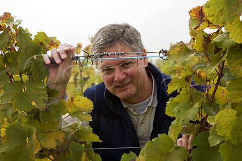 Jean Trimbach in Clos SteHune part of the Rosacker   Grand Cru vineyard HautRhin France  Alsace