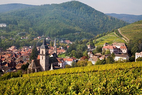 Ribeauvill viewed from the Geisberg Grand Cru   vineyard HautRhin France  Alsace