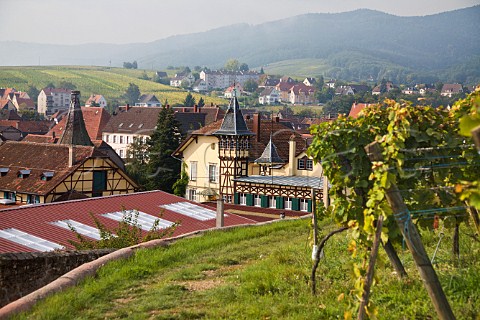 Tower of Domaine Trimbach viewed from the Osterberg   Grand Cru vineyard HautRhin France  Alsace