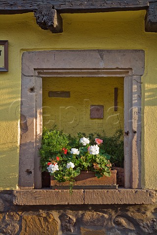 Window box flower display Turckheim HautRhin   France  Alsace